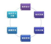 北京智鼎管理咨詢 專業(yè)護(hù)航，驅(qū)動企業(yè)卓越成長
