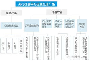 征信行業(yè)深度研究報告 企業(yè)管理咨詢服務(wù)的戰(zhàn)略價值與發(fā)展路徑